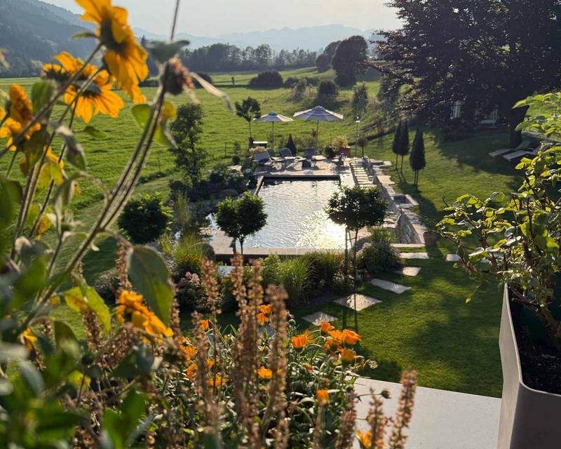 gelb blühende Blumen im Vordergrund und im Hintergrund etwas veschwommen der Garten 