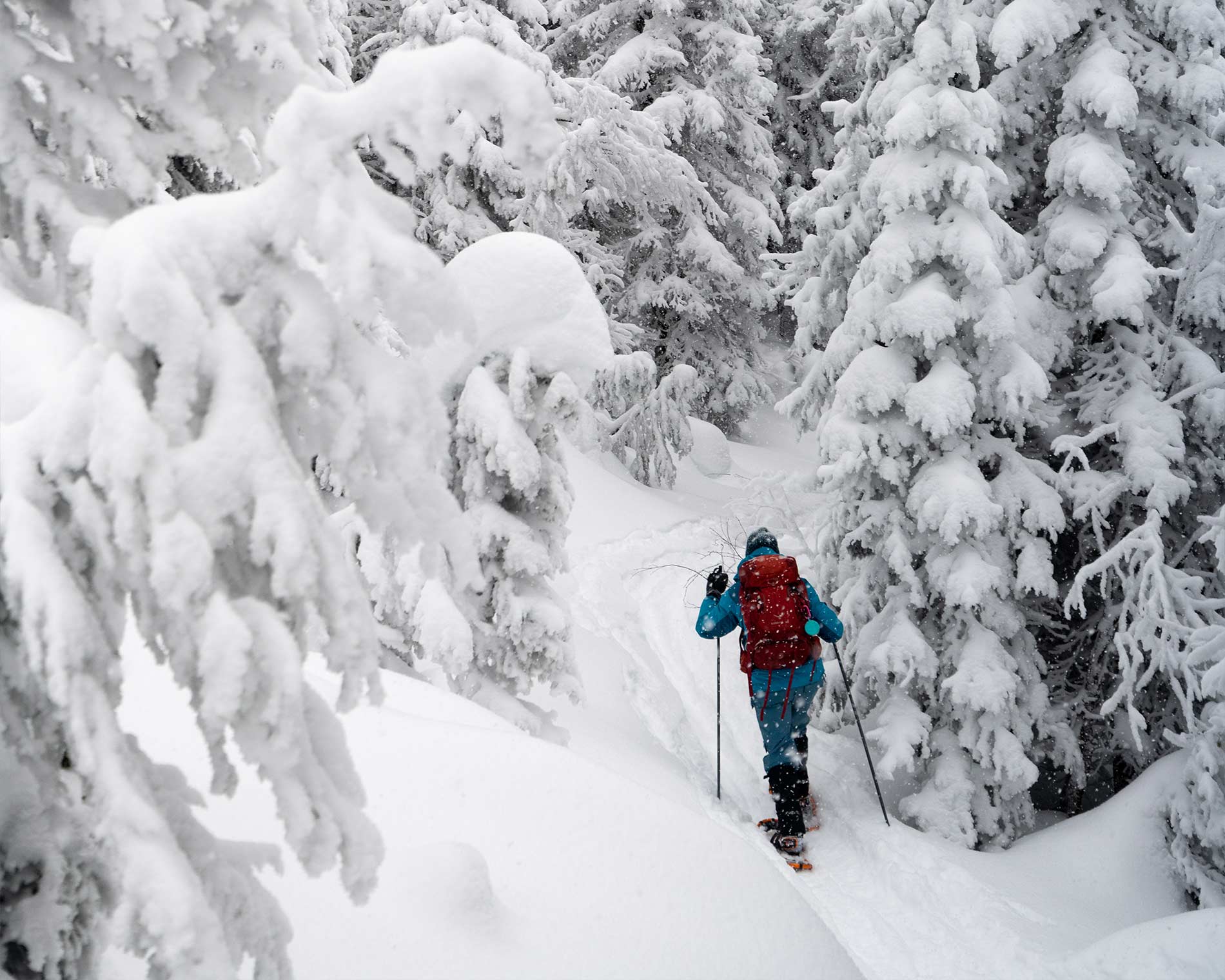 Schneeschuhwanderer wandert durch einen verschneiten Wald