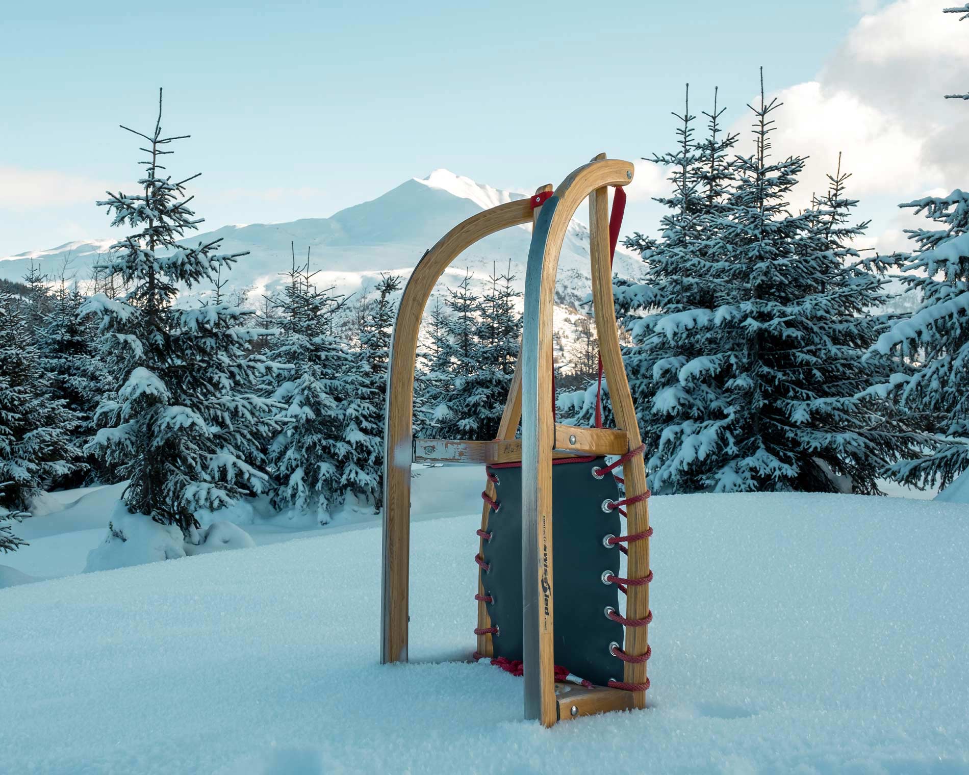 Ein Holzschlitten steht im Focus auf diesem Bild und im Hintergrund erstreckt sich ein Wald und ein Berg